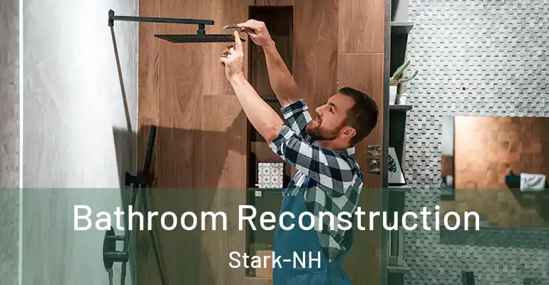 inner Bathroom imggen Bathroom Reconstruction Stark-NH