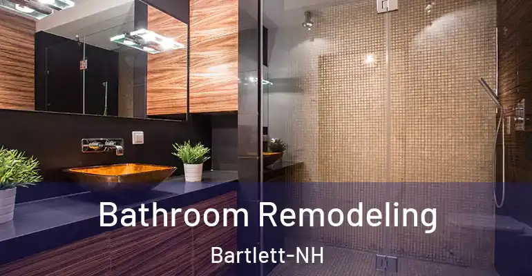 inner Bathroom imggen Bathroom Remodeling Bartlett-NH