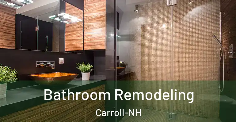 inner Bathroom imggen Bathroom Remodeling Carroll-NH
