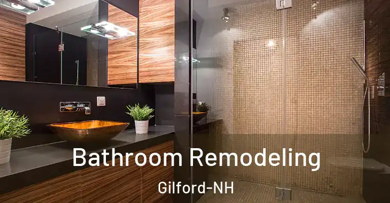 inner Bathroom imggen Bathroom Remodeling Gilford-NH