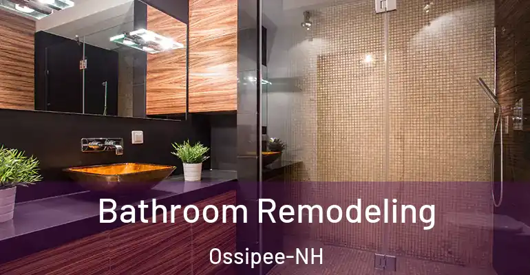 inner Bathroom imggen Bathroom Remodeling Ossipee-NH