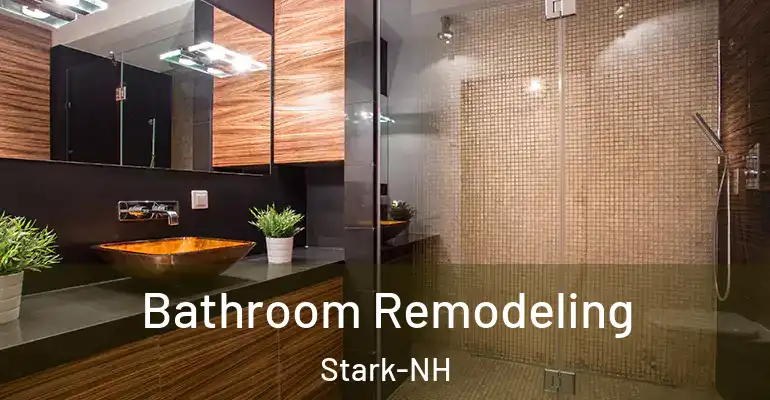inner Bathroom imggen Bathroom Remodeling Stark-NH