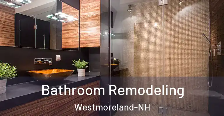 inner Bathroom imggen Bathroom Remodeling Westmoreland-NH