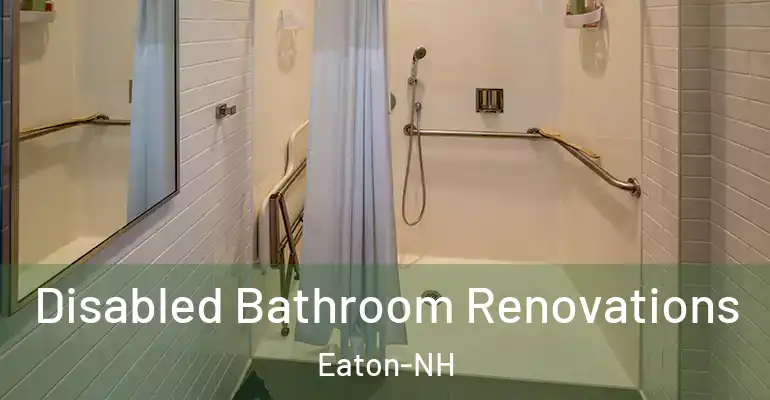 inner Bathroom imggen Disabled Bathroom Renovations Eaton-NH