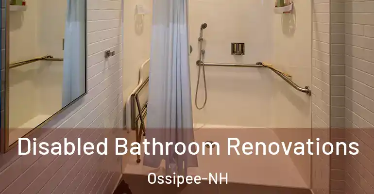 inner Bathroom imggen Disabled Bathroom Renovations Ossipee-NH