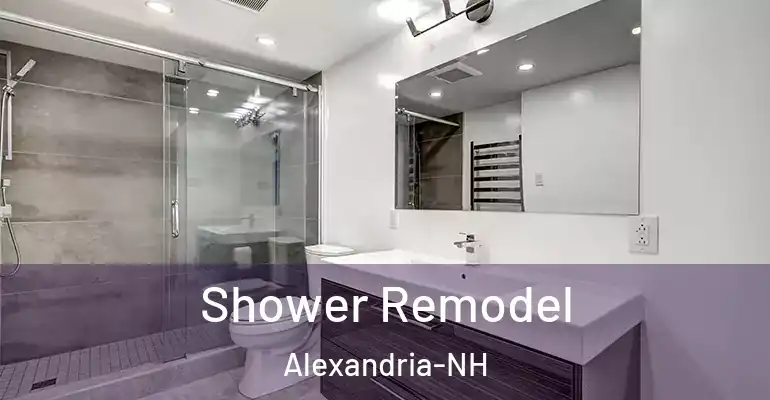 inner Bathroom imggen Shower Remodel Alexandria-NH