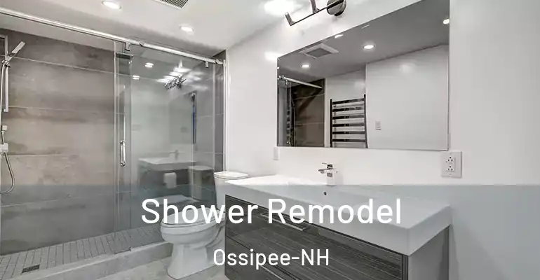 inner Bathroom imggen Shower Remodel Ossipee-NH