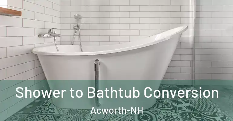 inner Bathroom imggen Shower to Bathtub Conversion Acworth-NH