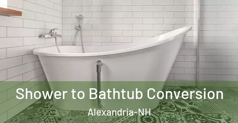 inner Bathroom imggen Shower to Bathtub Conversion Alexandria-NH