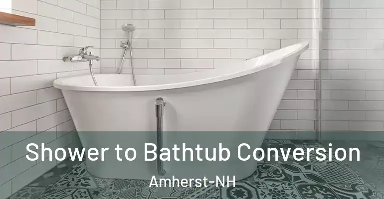 inner Bathroom imggen Shower to Bathtub Conversion Amherst-NH