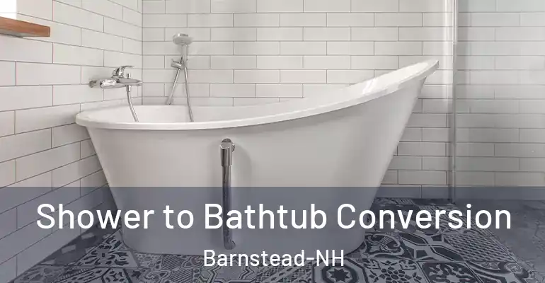 inner Bathroom imggen Shower to Bathtub Conversion Barnstead-NH