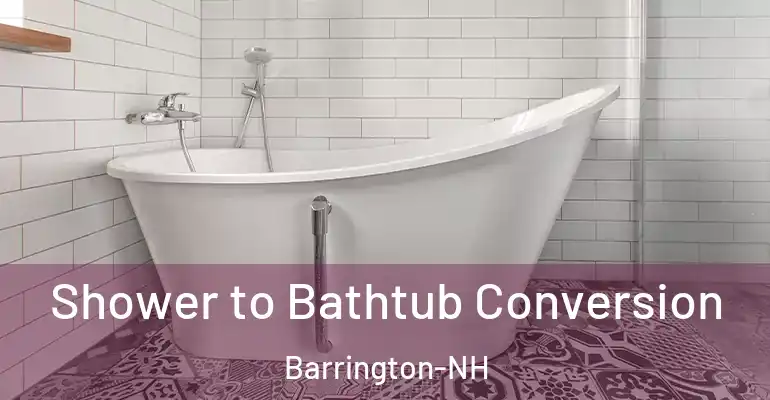 inner Bathroom imggen Shower to Bathtub Conversion Barrington-NH