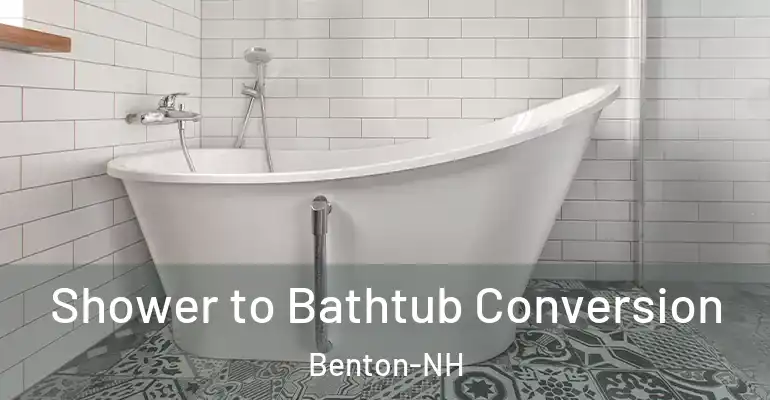 inner Bathroom imggen Shower to Bathtub Conversion Benton-NH