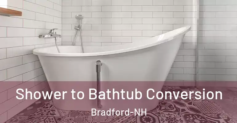 inner Bathroom imggen Shower to Bathtub Conversion Bradford-NH