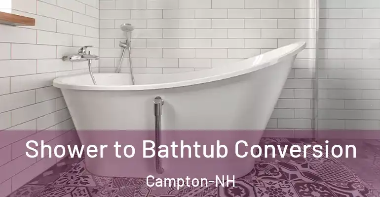 inner Bathroom imggen Shower to Bathtub Conversion Campton-NH