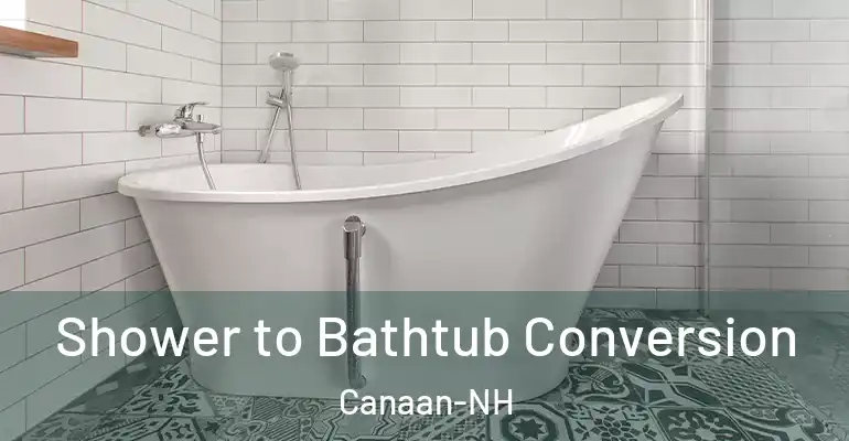 inner Bathroom imggen Shower to Bathtub Conversion Canaan-NH