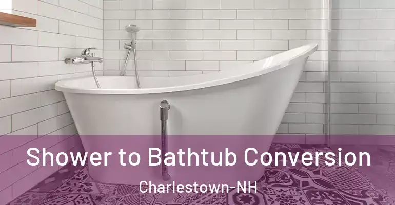 inner Bathroom imggen Shower to Bathtub Conversion Charlestown-NH