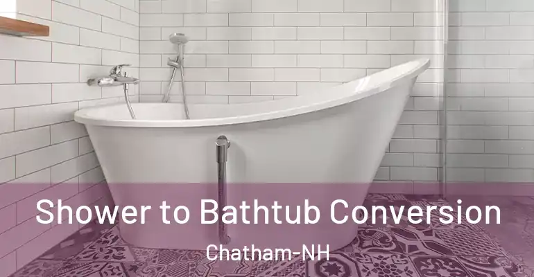 inner Bathroom imggen Shower to Bathtub Conversion Chatham-NH