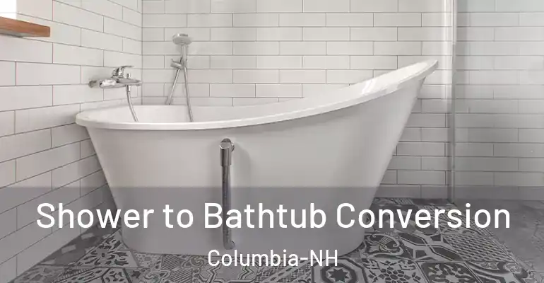 inner Bathroom imggen Shower to Bathtub Conversion Columbia-NH