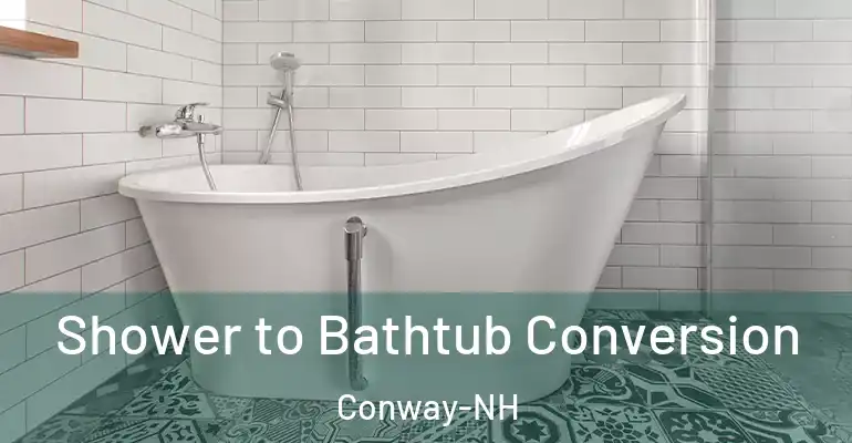 inner Bathroom imggen Shower to Bathtub Conversion Conway-NH
