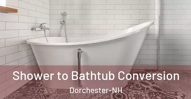 inner Bathroom imggen Shower to Bathtub Conversion Dorchester-NH