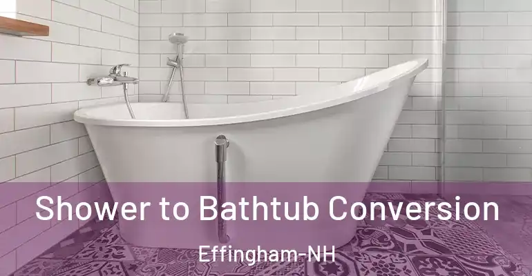 inner Bathroom imggen Shower to Bathtub Conversion Effingham-NH