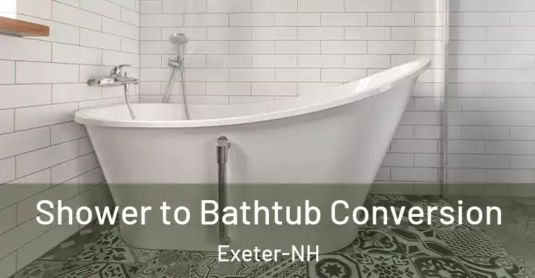 inner Bathroom imggen Shower to Bathtub Conversion Exeter-NH