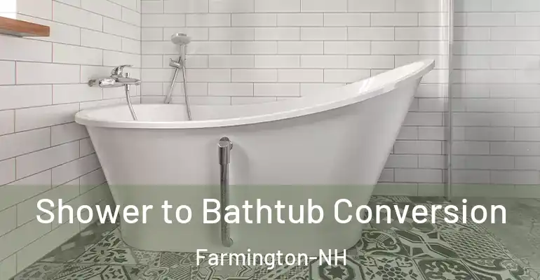 inner Bathroom imggen Shower to Bathtub Conversion Farmington-NH