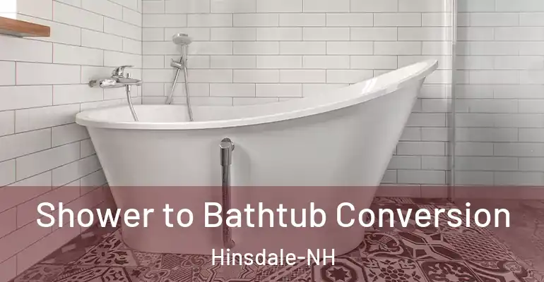 inner Bathroom imggen Shower to Bathtub Conversion Hinsdale-NH