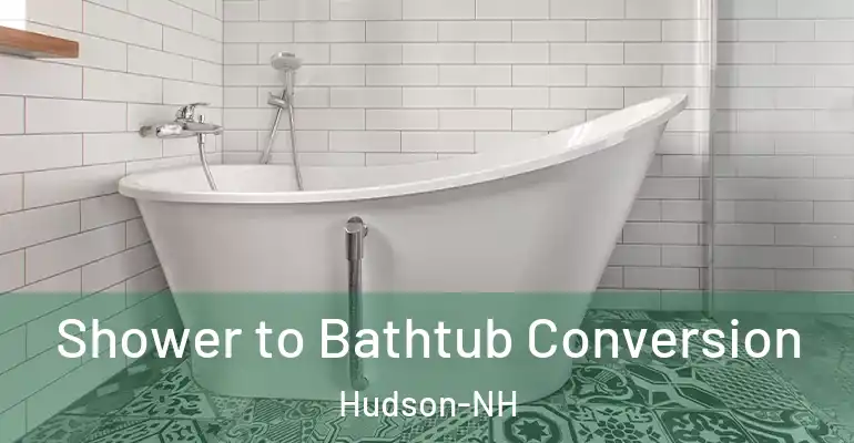 inner Bathroom imggen Shower to Bathtub Conversion Hudson-NH