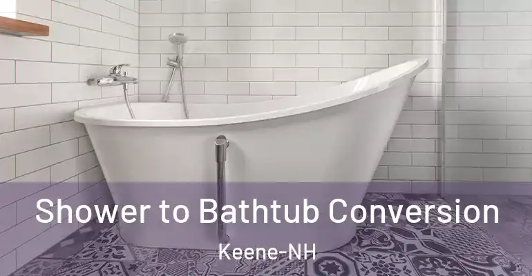 inner Bathroom imggen Shower to Bathtub Conversion Keene-NH