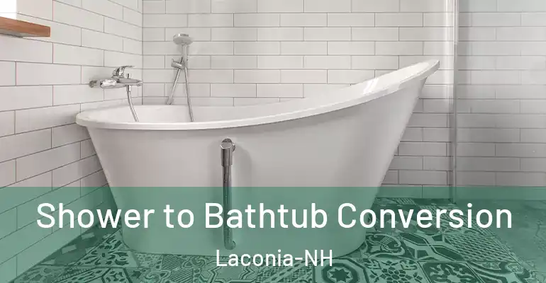 inner Bathroom imggen Shower to Bathtub Conversion Laconia-NH
