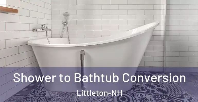 inner Bathroom imggen Shower to Bathtub Conversion Littleton-NH