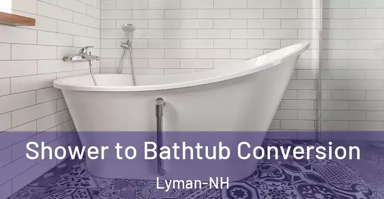 inner Bathroom imggen Shower to Bathtub Conversion Lyman-NH