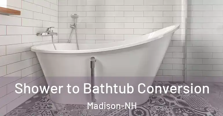 inner Bathroom imggen Shower to Bathtub Conversion Madison-NH