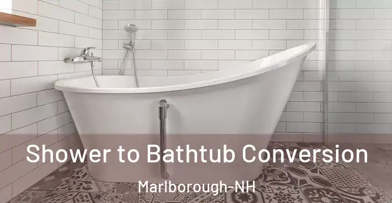 inner Bathroom imggen Shower to Bathtub Conversion Marlborough-NH
