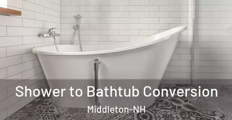 inner Bathroom imggen Shower to Bathtub Conversion Middleton-NH