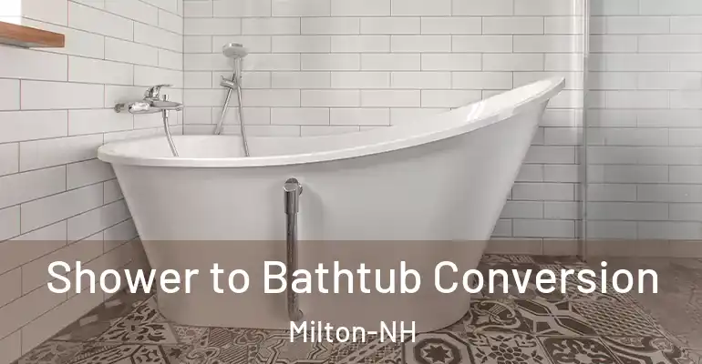inner Bathroom imggen Shower to Bathtub Conversion Milton-NH