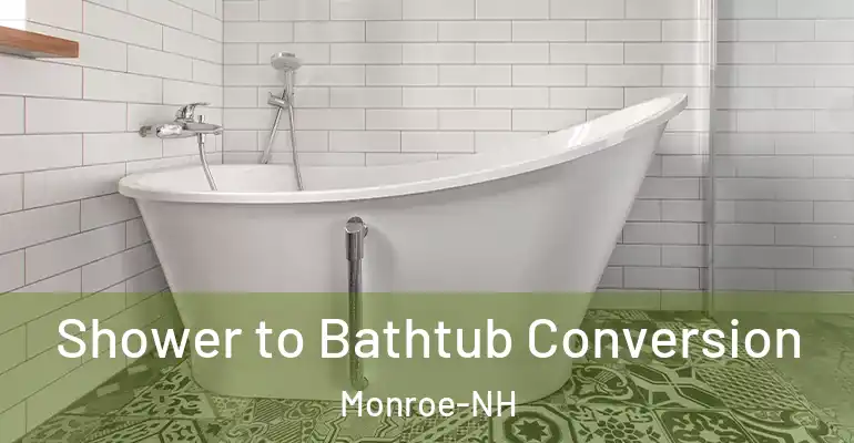 inner Bathroom imggen Shower to Bathtub Conversion Monroe-NH