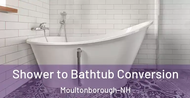 inner Bathroom imggen Shower to Bathtub Conversion Moultonborough-NH