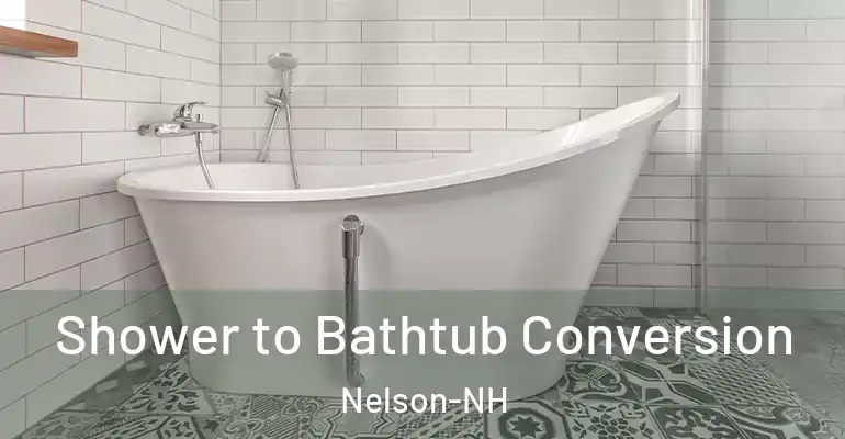 inner Bathroom imggen Shower to Bathtub Conversion Nelson-NH