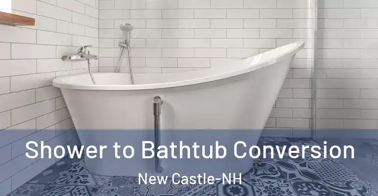 inner Bathroom imggen Shower to Bathtub Conversion New Castle-NH