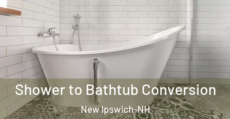 inner Bathroom imggen Shower to Bathtub Conversion New Ipswich-NH