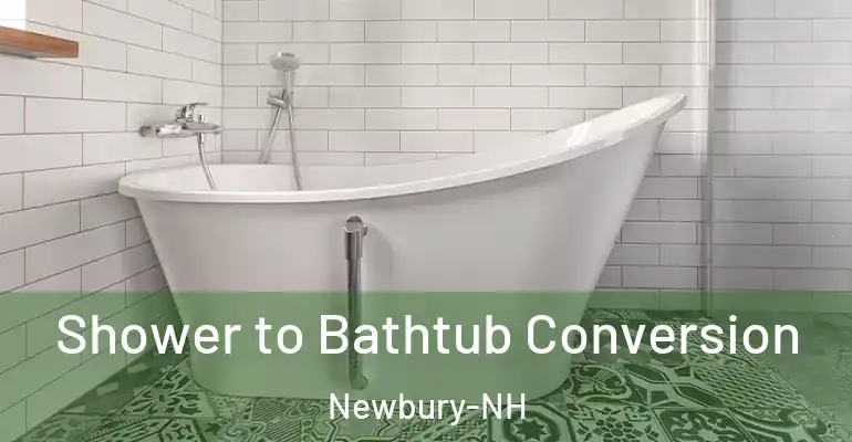 inner Bathroom imggen Shower to Bathtub Conversion Newbury-NH
