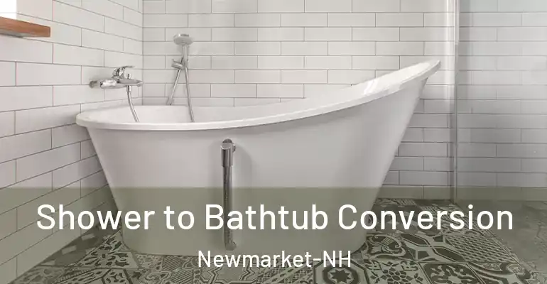 inner Bathroom imggen Shower to Bathtub Conversion Newmarket-NH