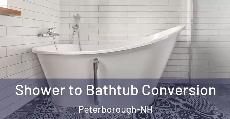 inner Bathroom imggen Shower to Bathtub Conversion Peterborough-NH