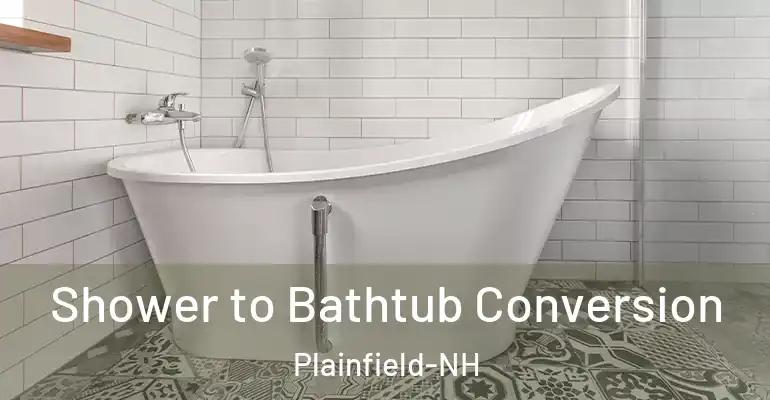 inner Bathroom imggen Shower to Bathtub Conversion Plainfield-NH