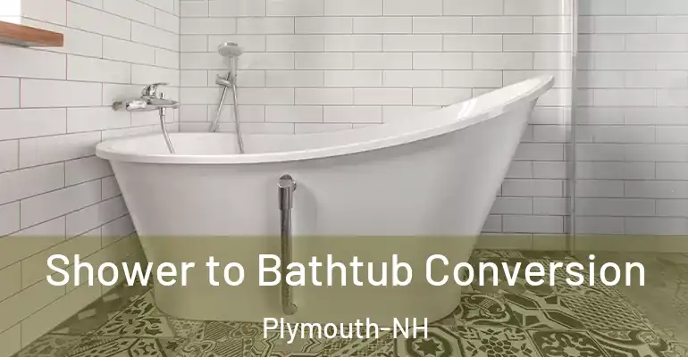 inner Bathroom imggen Shower to Bathtub Conversion Plymouth-NH