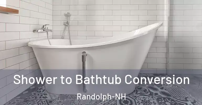 inner Bathroom imggen Shower to Bathtub Conversion Randolph-NH