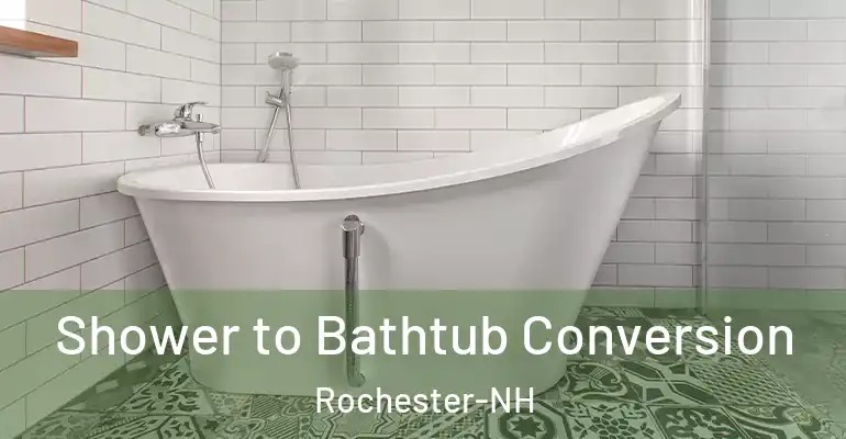 inner Bathroom imggen Shower to Bathtub Conversion Rochester-NH